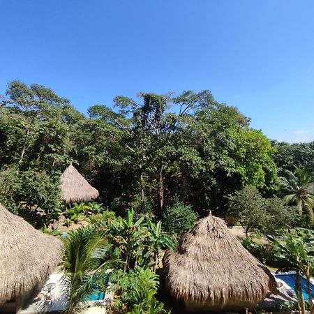 Bed and Breakfast Colibri Parque Tayrona Dentro Del Parque Nacional Tayrona à El Zaino Extérieur photo
