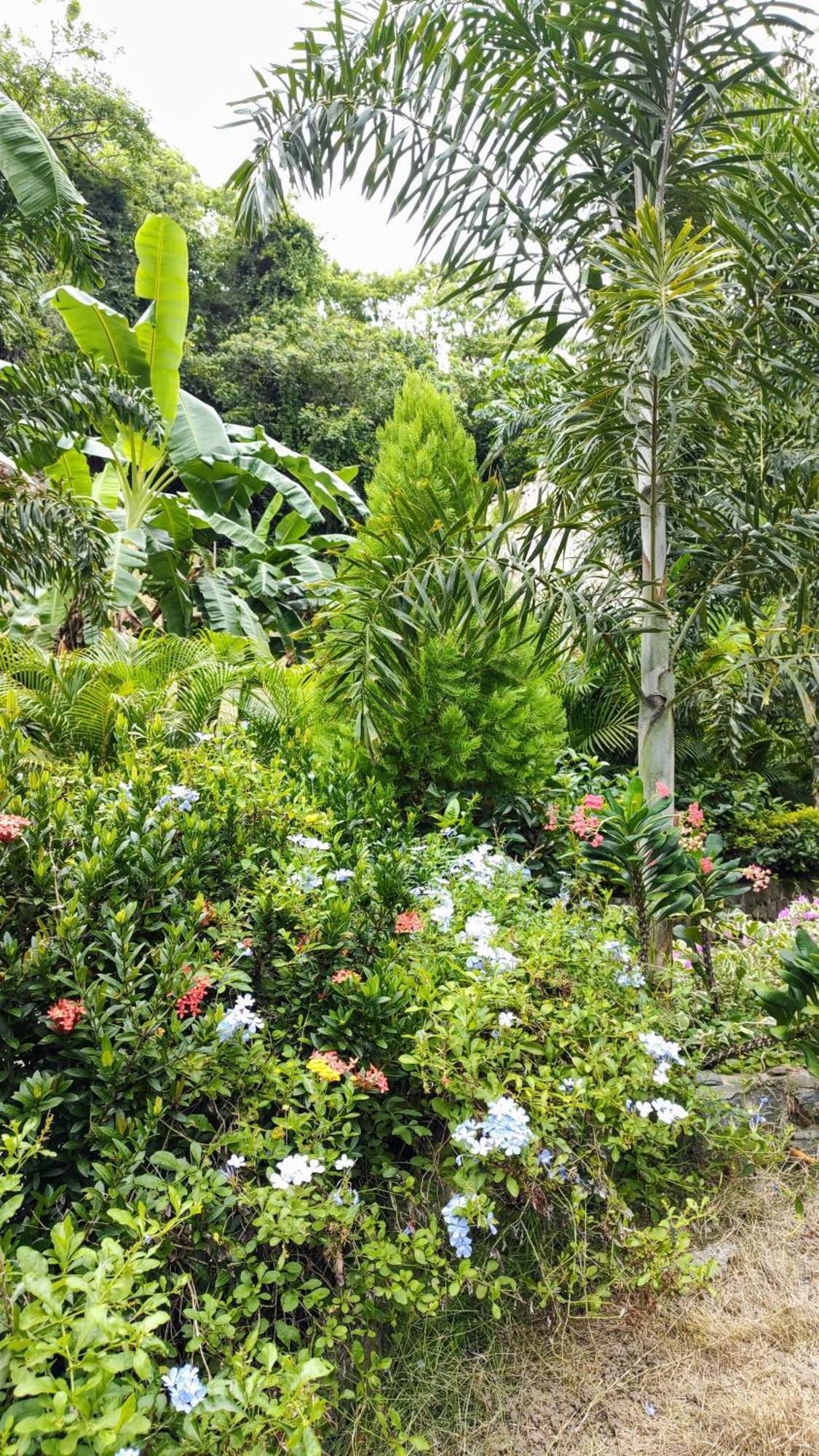 Bed and Breakfast Colibri Parque Tayrona Dentro Del Parque Nacional Tayrona à El Zaino Extérieur photo