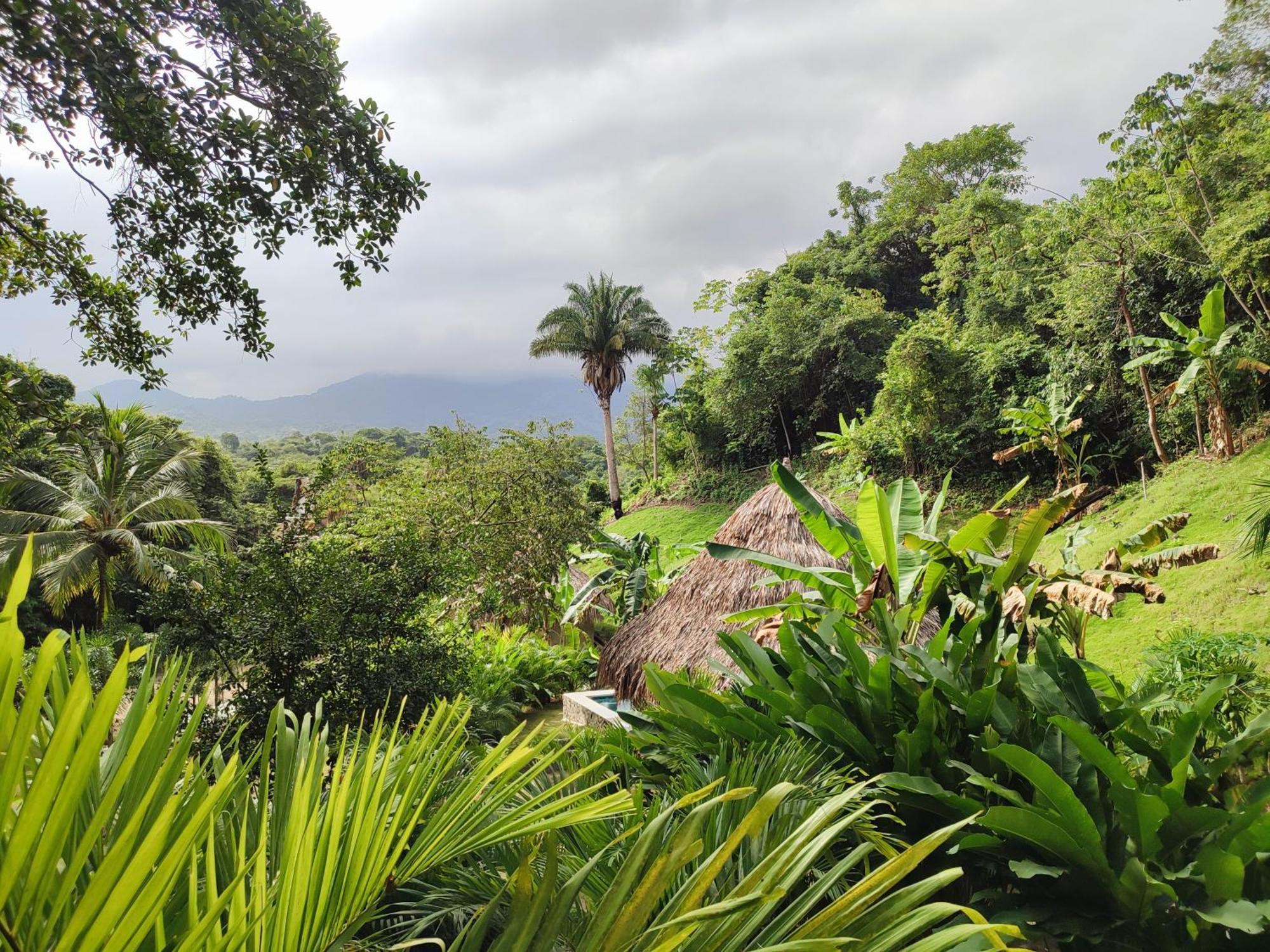 Bed and Breakfast Colibri Parque Tayrona Dentro Del Parque Nacional Tayrona à El Zaino Extérieur photo