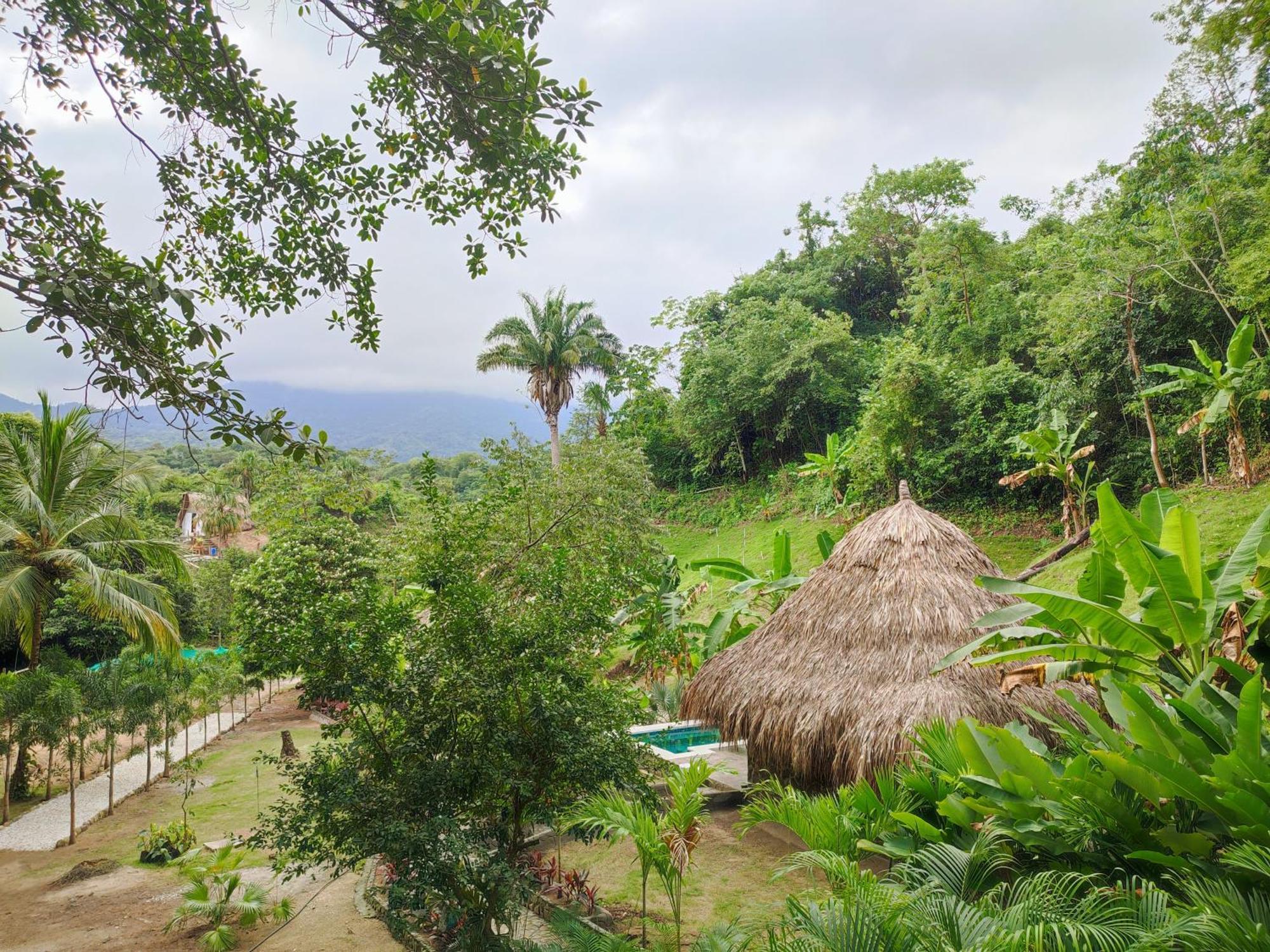Bed and Breakfast Colibri Parque Tayrona Dentro Del Parque Nacional Tayrona à El Zaino Extérieur photo