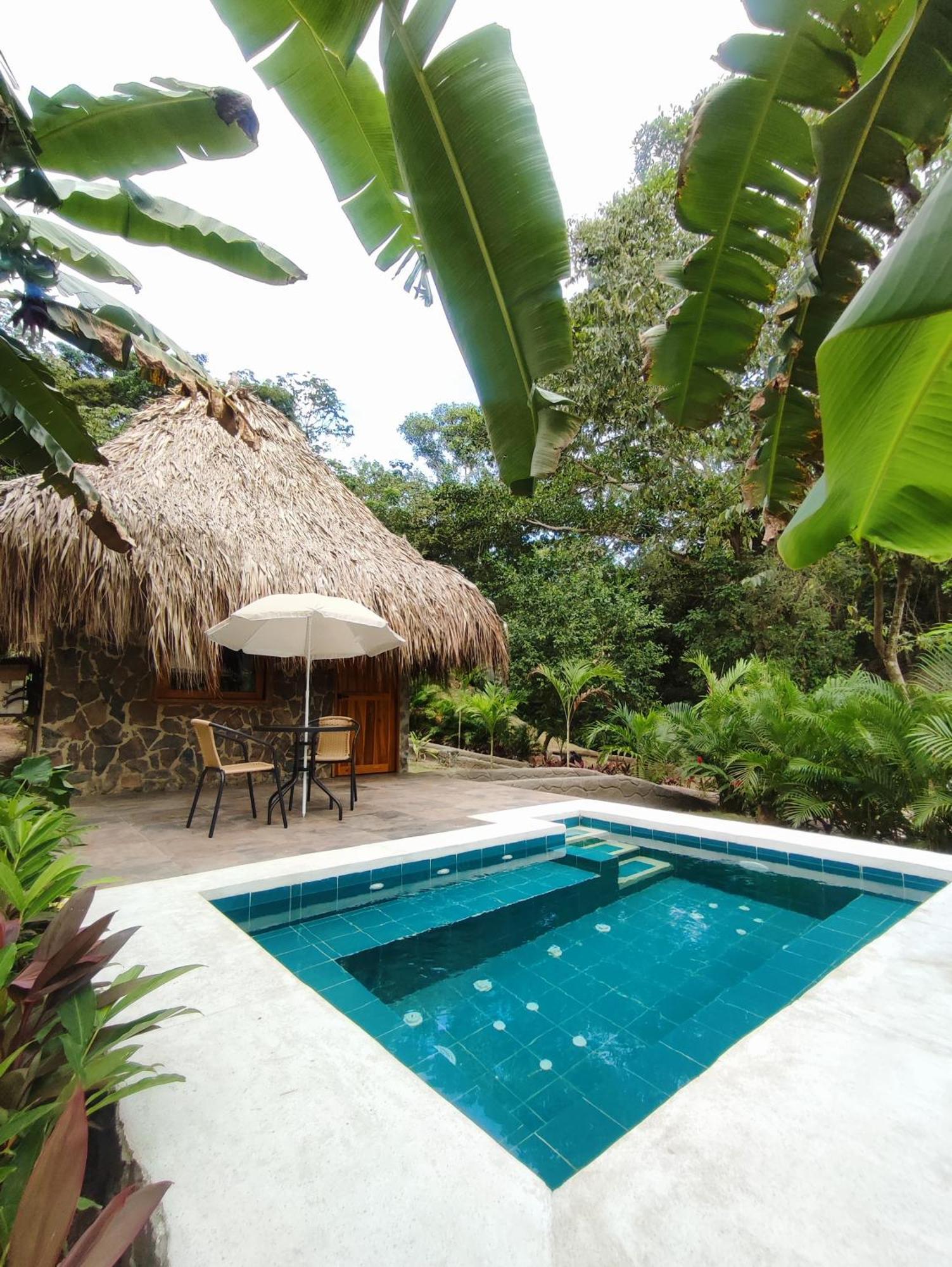 Bed and Breakfast Colibri Parque Tayrona Dentro Del Parque Nacional Tayrona à El Zaino Extérieur photo