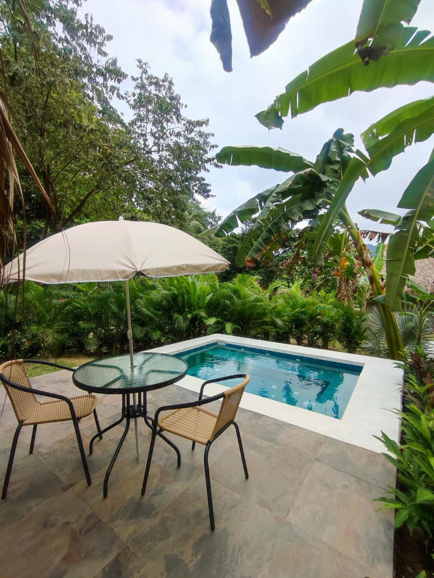 Bed and Breakfast Colibri Parque Tayrona Dentro Del Parque Nacional Tayrona à El Zaino Extérieur photo