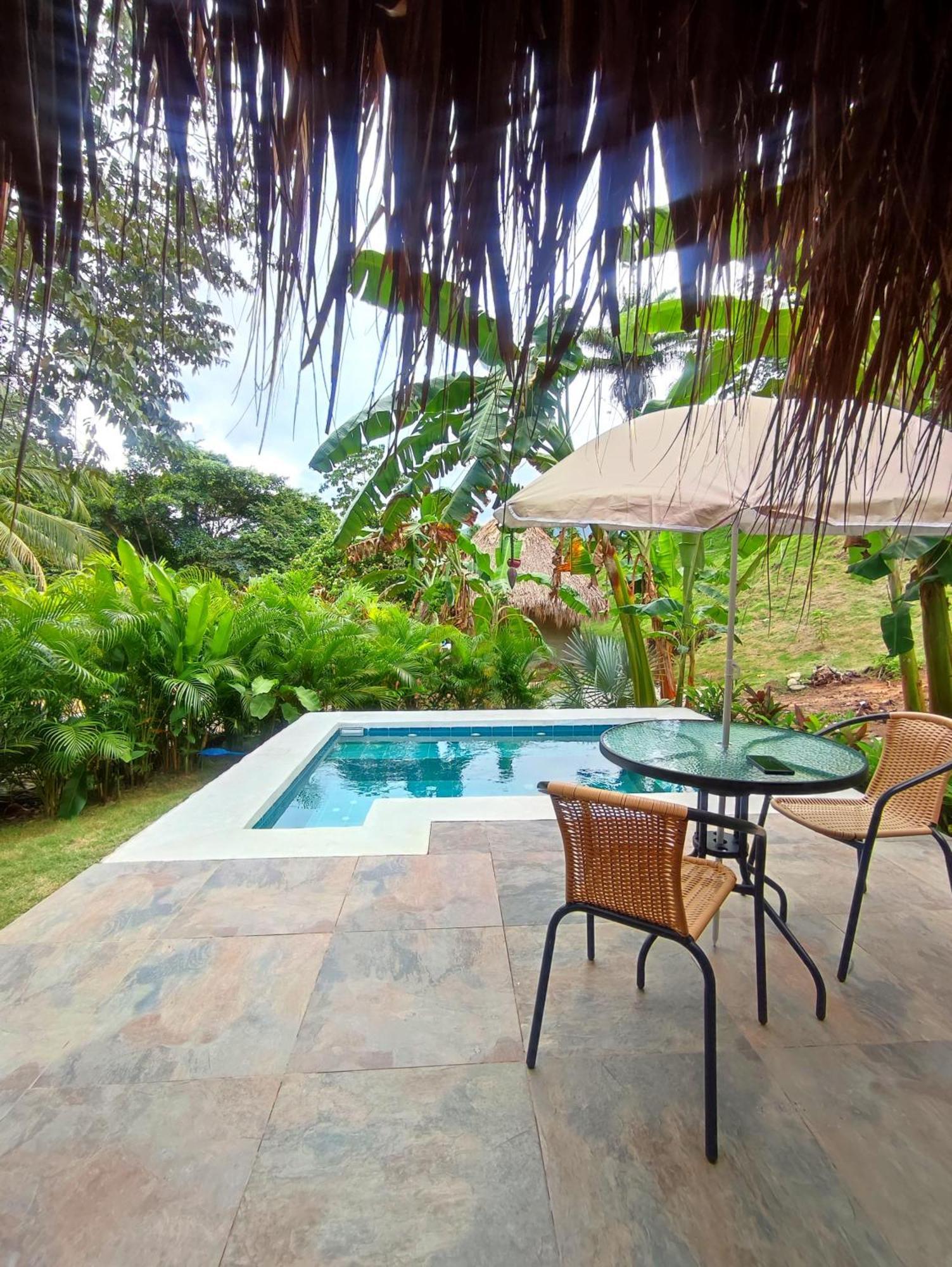 Bed and Breakfast Colibri Parque Tayrona Dentro Del Parque Nacional Tayrona à El Zaino Extérieur photo
