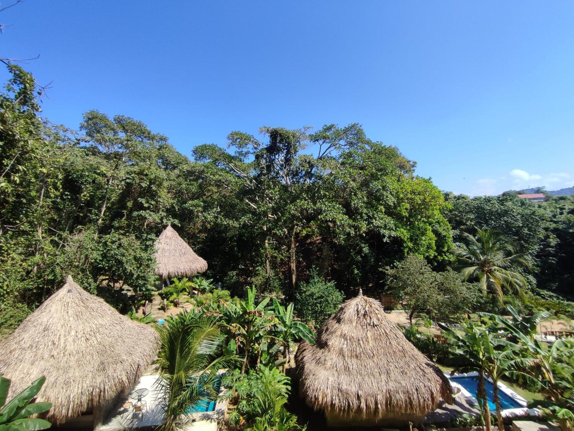Bed and Breakfast Colibri Parque Tayrona Dentro Del Parque Nacional Tayrona à El Zaino Extérieur photo
